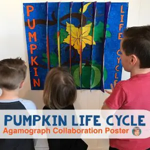 Pumpkin Life Cycle 3D Agamograph