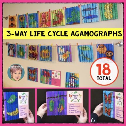Life cycle 3-way agamographs