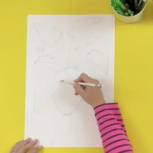 How to draw a monstera plant