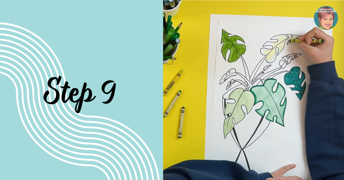 How to Draw Monstera Plant: Step 9